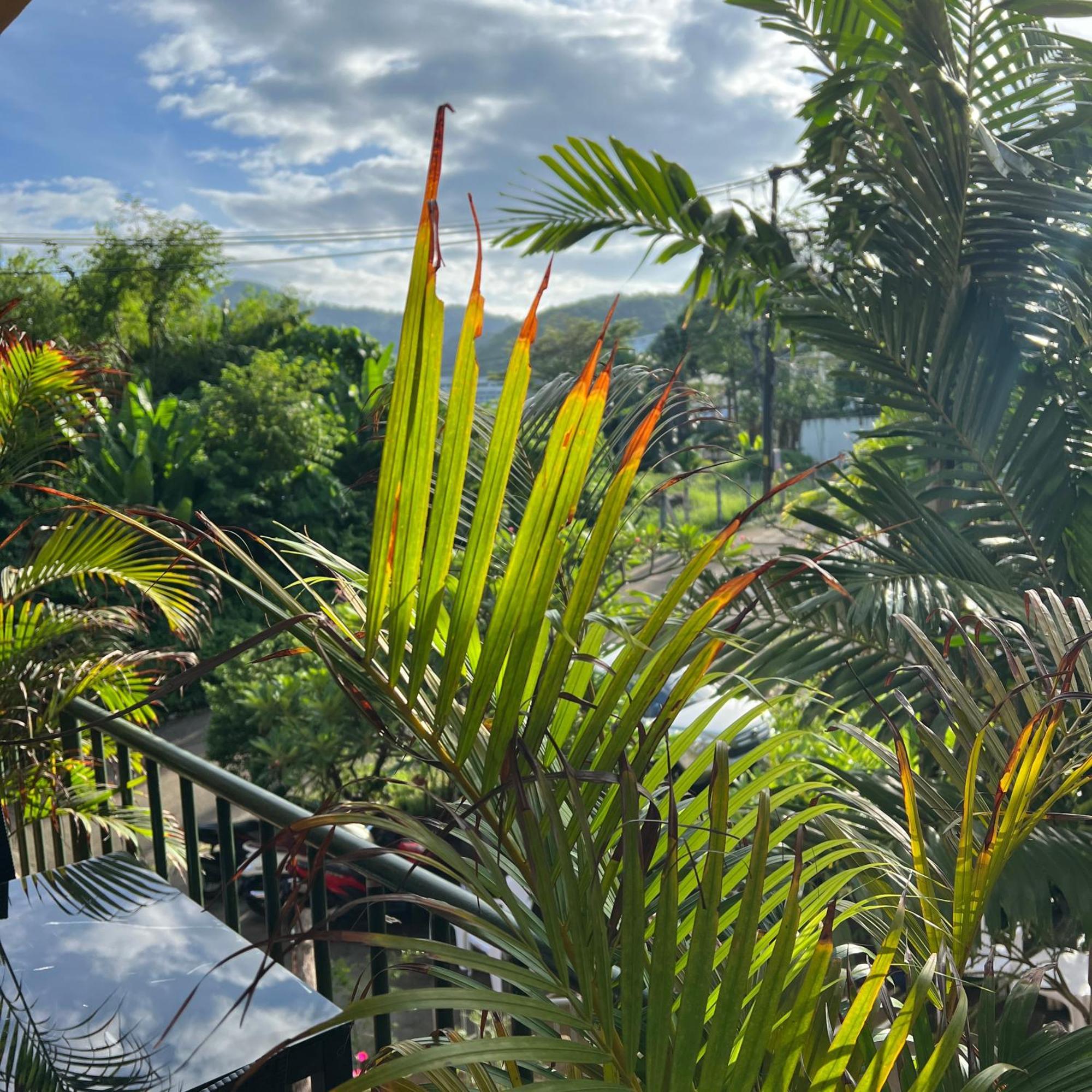 Kata Villa Merit Hill Bungalows Karon Kültér fotó