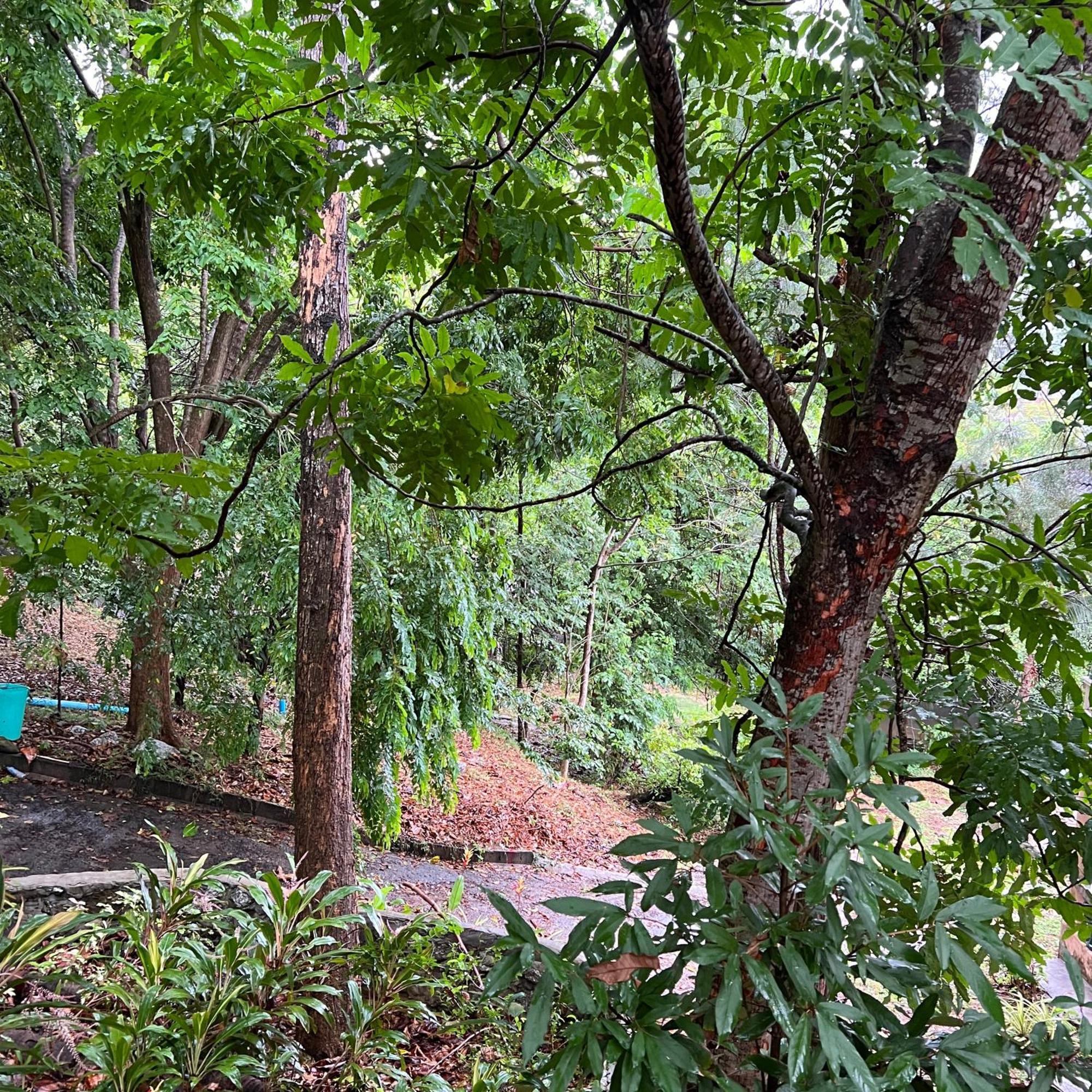 Kata Villa Merit Hill Bungalows Karon Kültér fotó